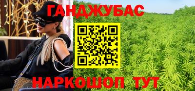 гашик Малгобек
