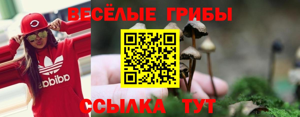 Владикавказ  Псилоцибиновые грибы MAGIC MUSHROOMS  Вход с VPN 